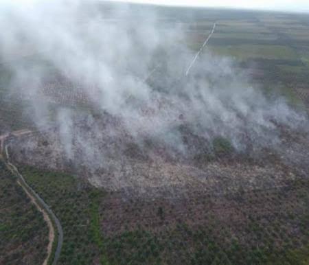 Ilustrasi hotspot di Riau masih terdeteksi (foto/int)
